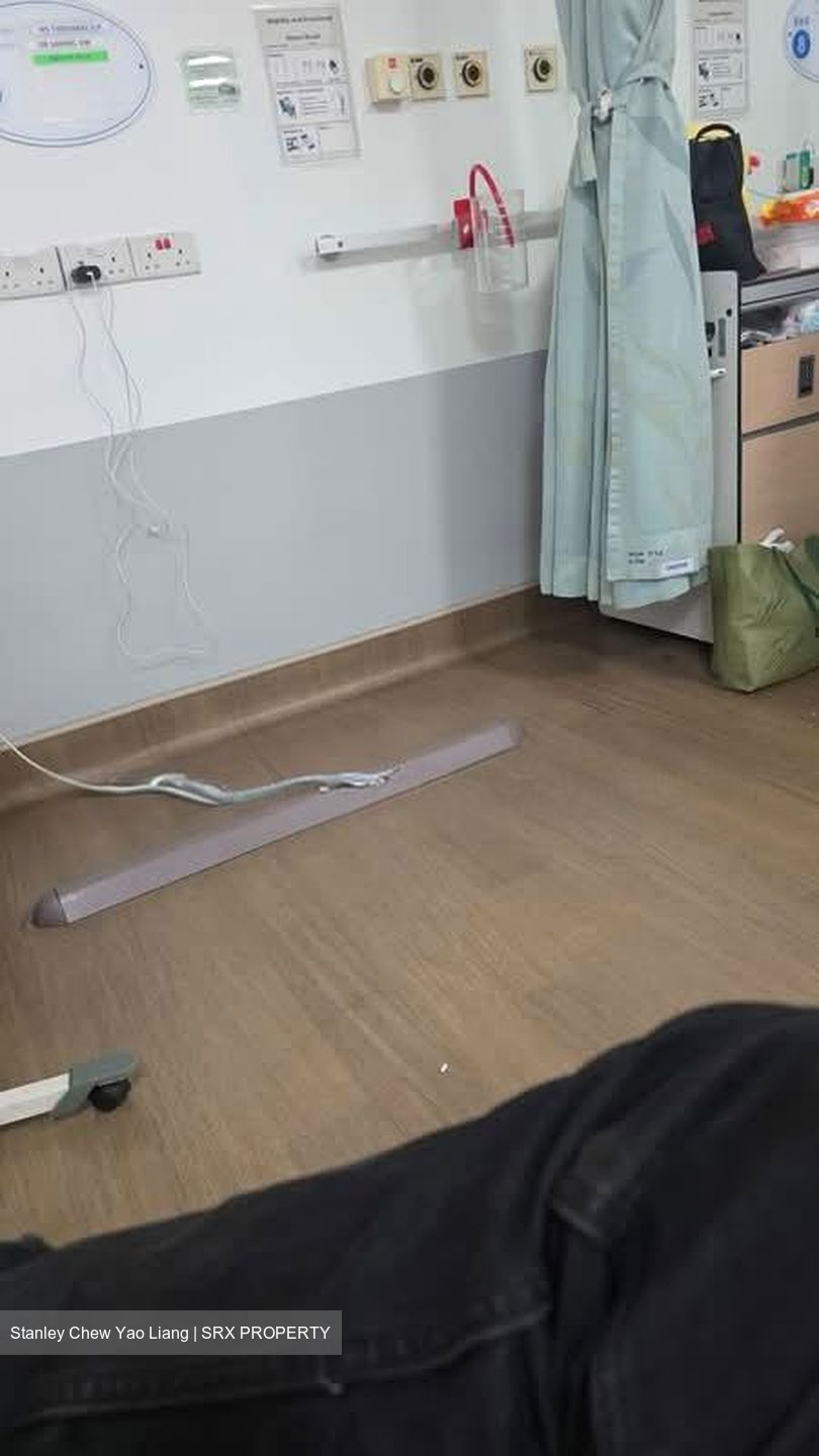 Blk 545 Jurong West Street 42 (Jurong West), HDB 4 Rooms #581345671